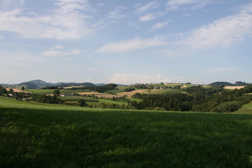 Kirchenwirt Inn Kreuzen  Bagian luar foto
